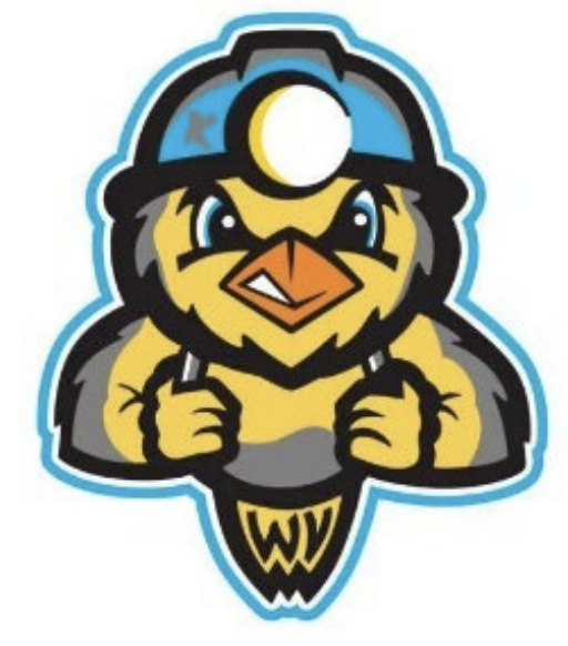 Family Night at GoMart Ballpark Christ Church United Methodist